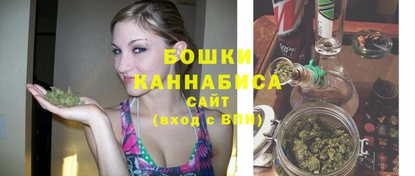 скорость Вяземский