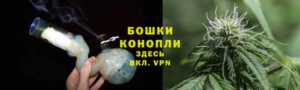 скорость Вяземский