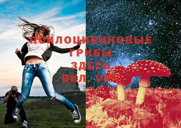 mdma Горнозаводск